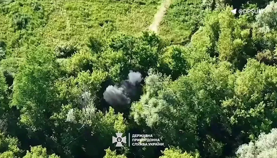 У ДПСУ показали, як нищать техніку та озброєння ворога на Сумському напрямку. Відео dqxikeidqxidqeant