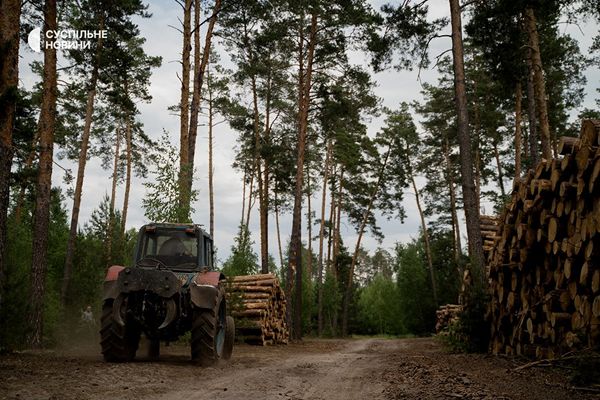 Вирубка лісу поблизу села Мархалівка за планом розбудови військового меморіального кладовища на Київщині