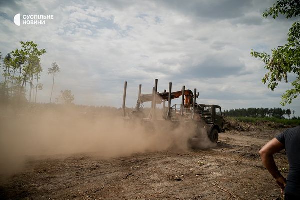 Техніка працює, розчищаючи територію лісу для майбутнього військового кладовища поблизу Мархалівки