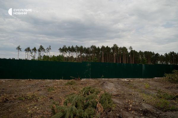 Що відбувається з будівництвом Національного військового меморіального кладовища