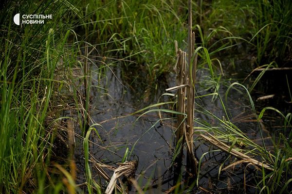Що відбувається з будівництвом Національного військового меморіального кладовища