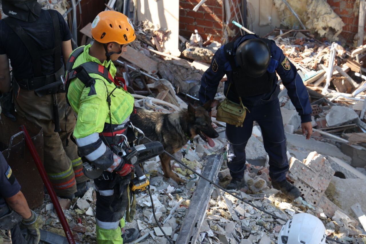 Росіяни понад 10 разів обстріляли Нікопольщину: вигоріло 2,5 га пшениці, є руйнування. Фото