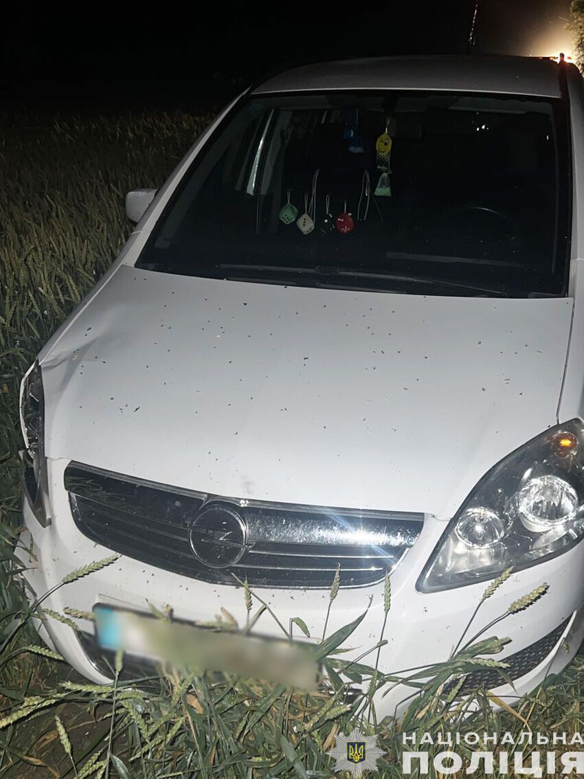 На Чернігівщині водій збив 3-річну дитину і втік з місця аварії: хлопчик помер. Фото dqxikeidqxidqeant