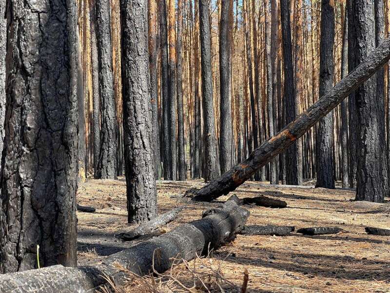 :         dqxikeidqxidqrant