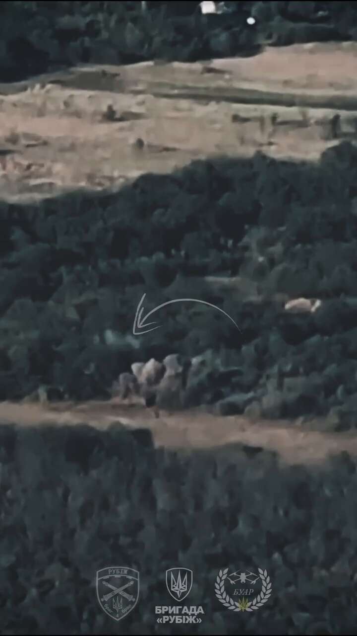 Arranged dqxikeidqxidqrant