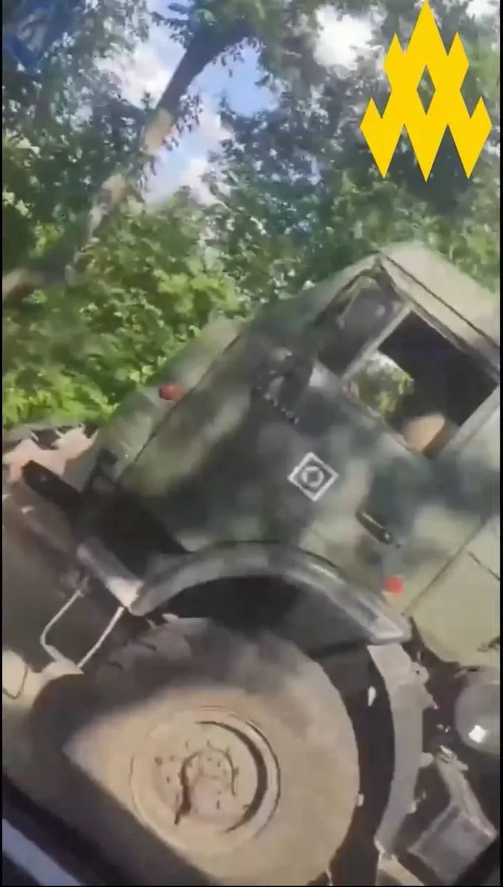 Росія перекидає військових 810-ї ОБрМП у Курську область: в  dqxikeidqxidqrant