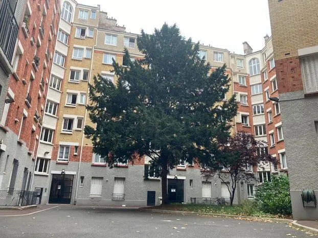 ϳ  -2024   dqxikeidqxidqrant