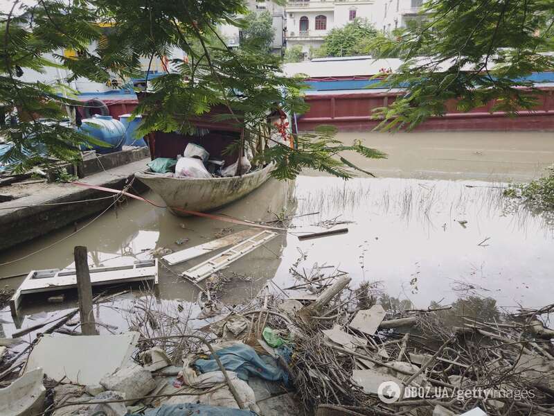 Північ В’єтнаму накрив найпотужніший шторм в Азії: тисячі дерев вирвало з корінням. Фото