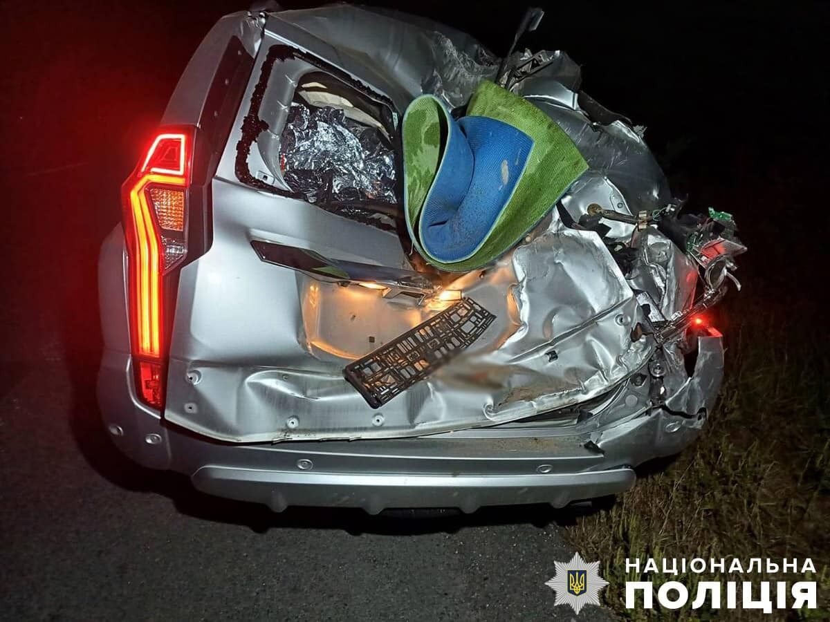 На Житомирщині через дикого кабана сталася ДТП: дві людини загинули, є постраждалий. Фото dqxikeidqxidqeant