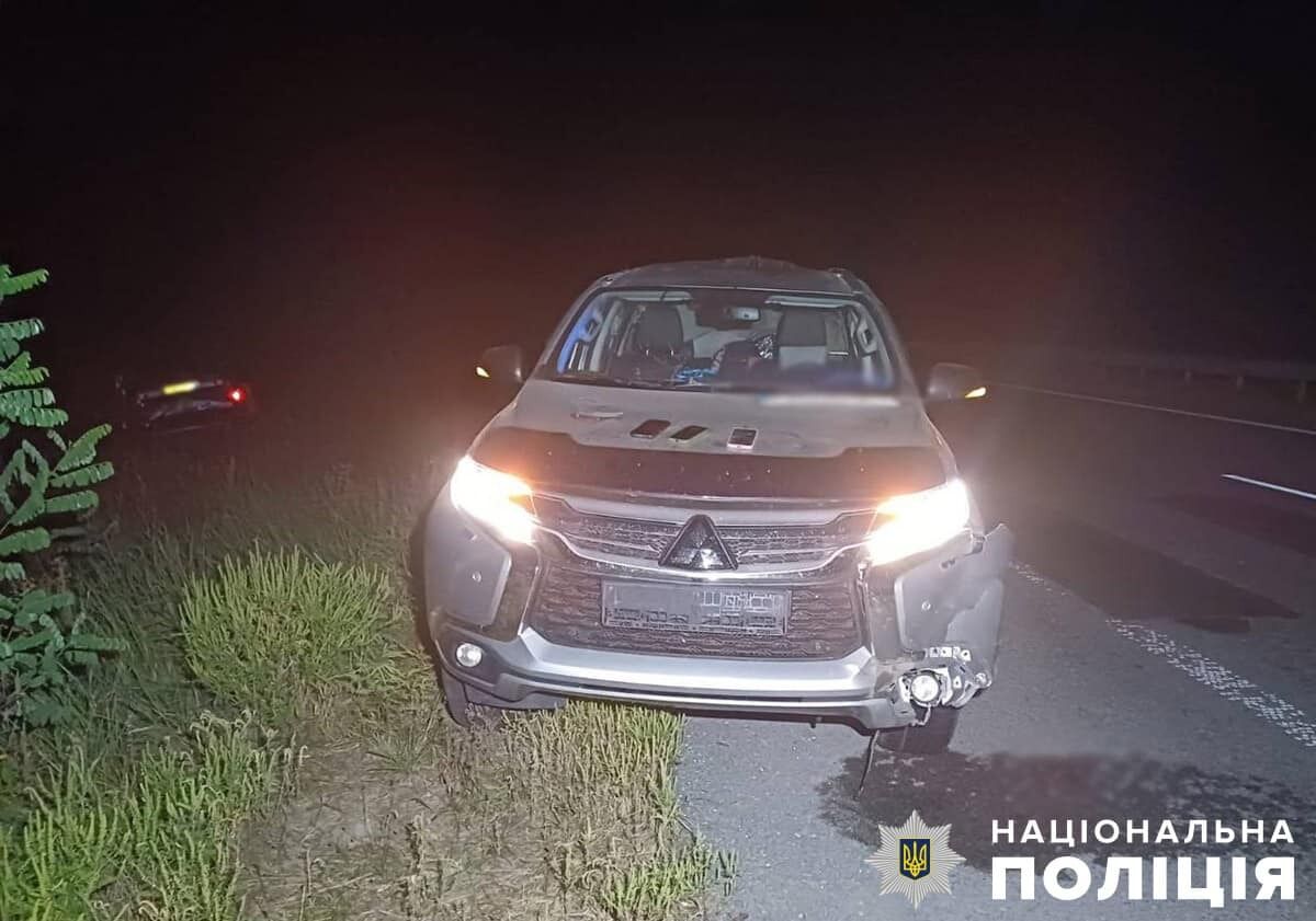 На Житомирщині через дикого кабана сталася ДТП: дві людини загинули, є постраждалий. Фото