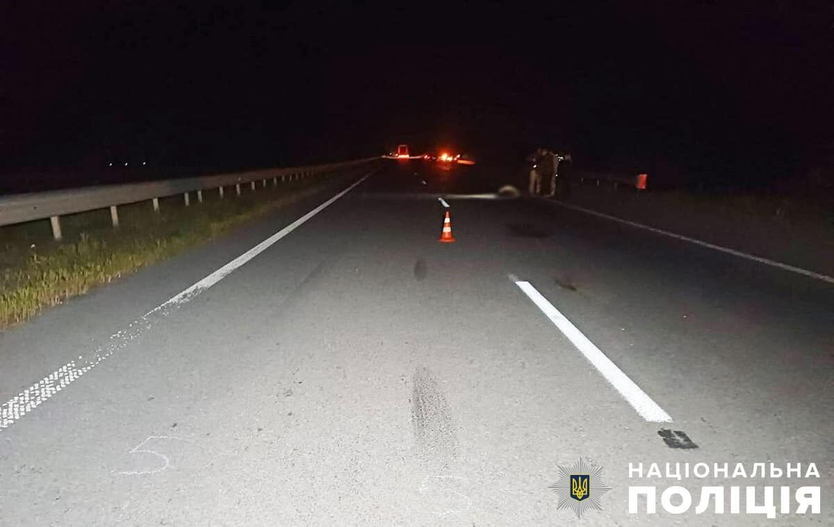 На Житомирщині через дикого кабана сталася ДТП: дві людини загинули, є постраждалий. Фото