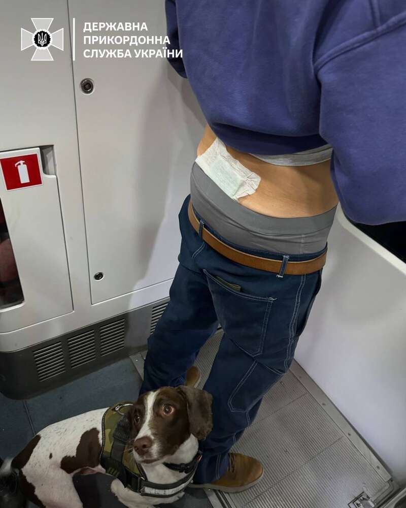 Пограничники задержали иностранца, который перевозил гашиш, приклеенным к спине (фото) фото 1 dqxikeidqxidqrant