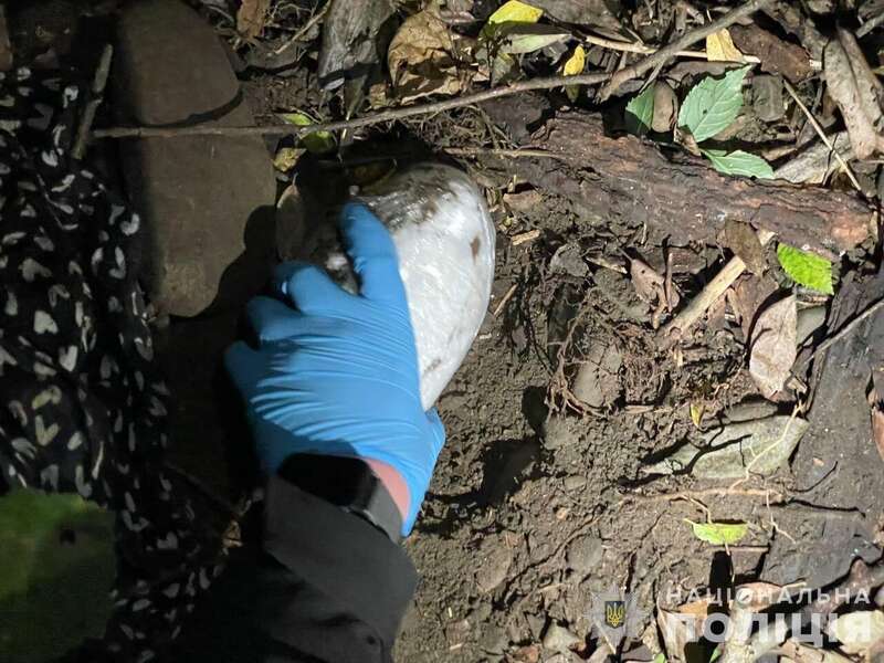 Нацполіція викрила масштабну мережу збуту наркотиків: у яких областях діяли злочинці. Відео