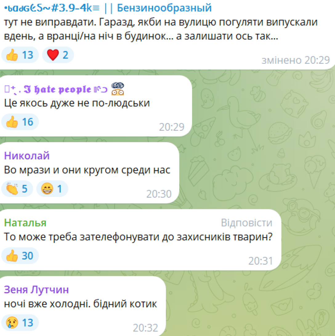 Коментарі до кота у Львові Львів, кіт, жорстоке поводження з тваринами