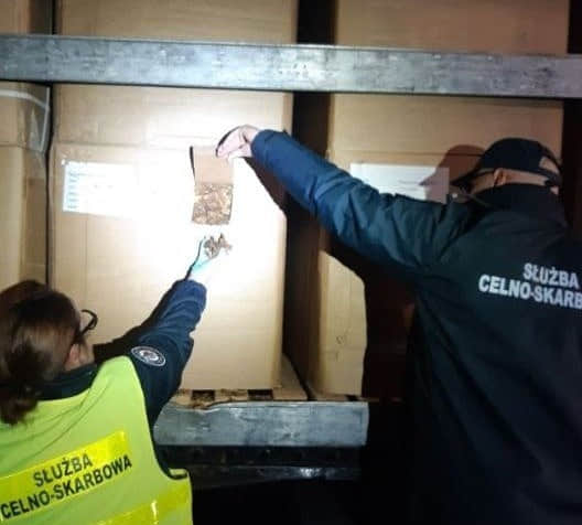 : RMF24 dqxikeidqxiuuant