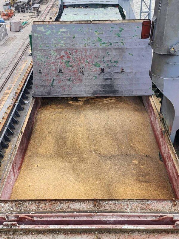 -   6    dqxikeidqxidqrant