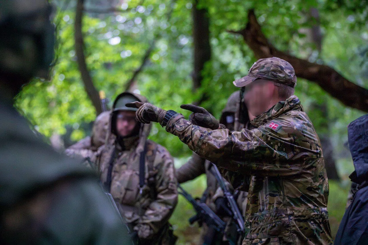 Patrolling, ambush, and tacmed: the Armed Forces of Ukraine demonstrated the training of recruits by Danish instructors in the UK. Photo