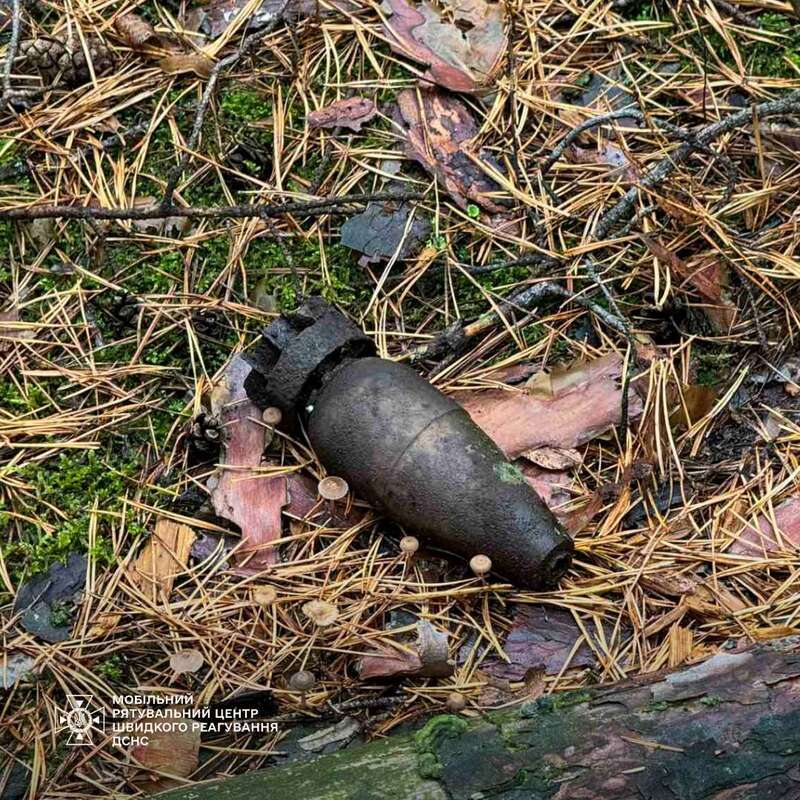          .    dqxikeidqxidqrant