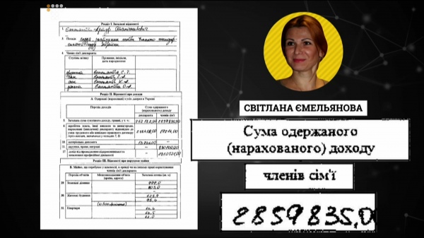 Декларация Емельяновой