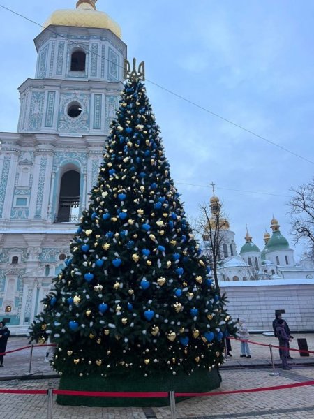 Елка, новогодняя елка, главная елка, елка Киев, главная елка Киева, главная елка Киева, главная елка страны dqxikeidqxidqrant