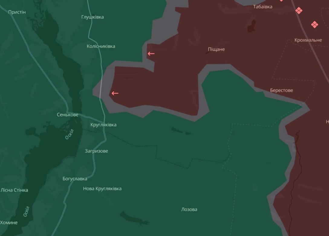 Кругляковка, фото dqxikeidqxidqeant