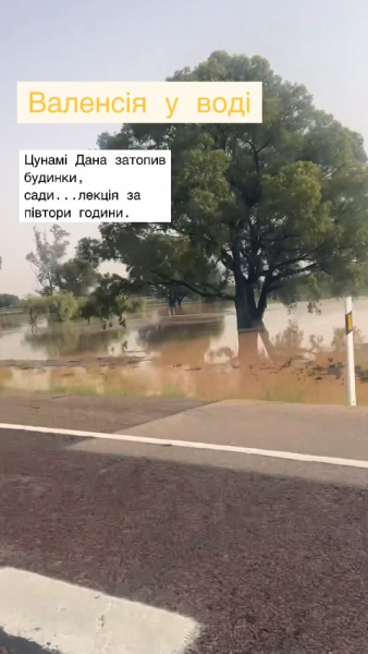 Ольга Фреймут, паводок в Іспанії, попередження, дерева