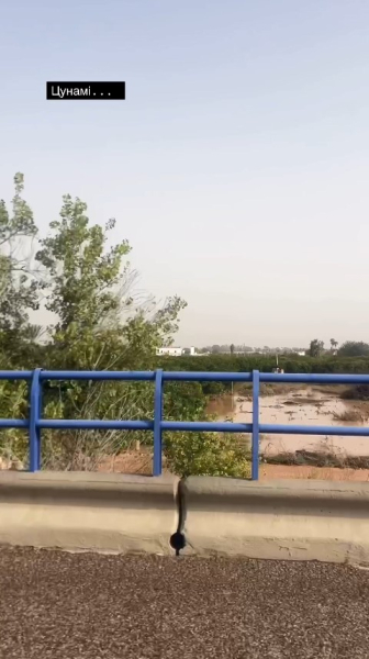 Ольга Фреймут, паводок в Іспанії, попередження, дерева, поля