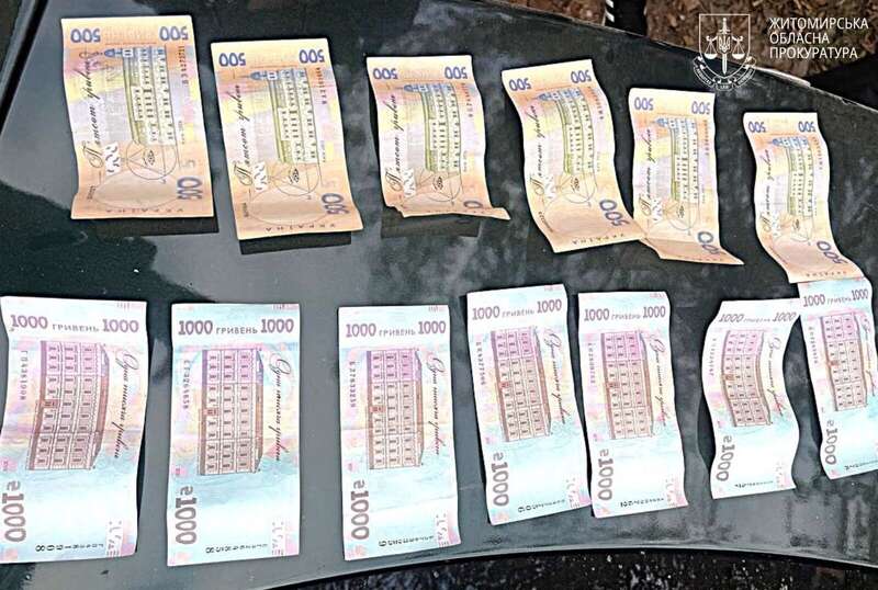 In Zhytomyr region, two men were detained