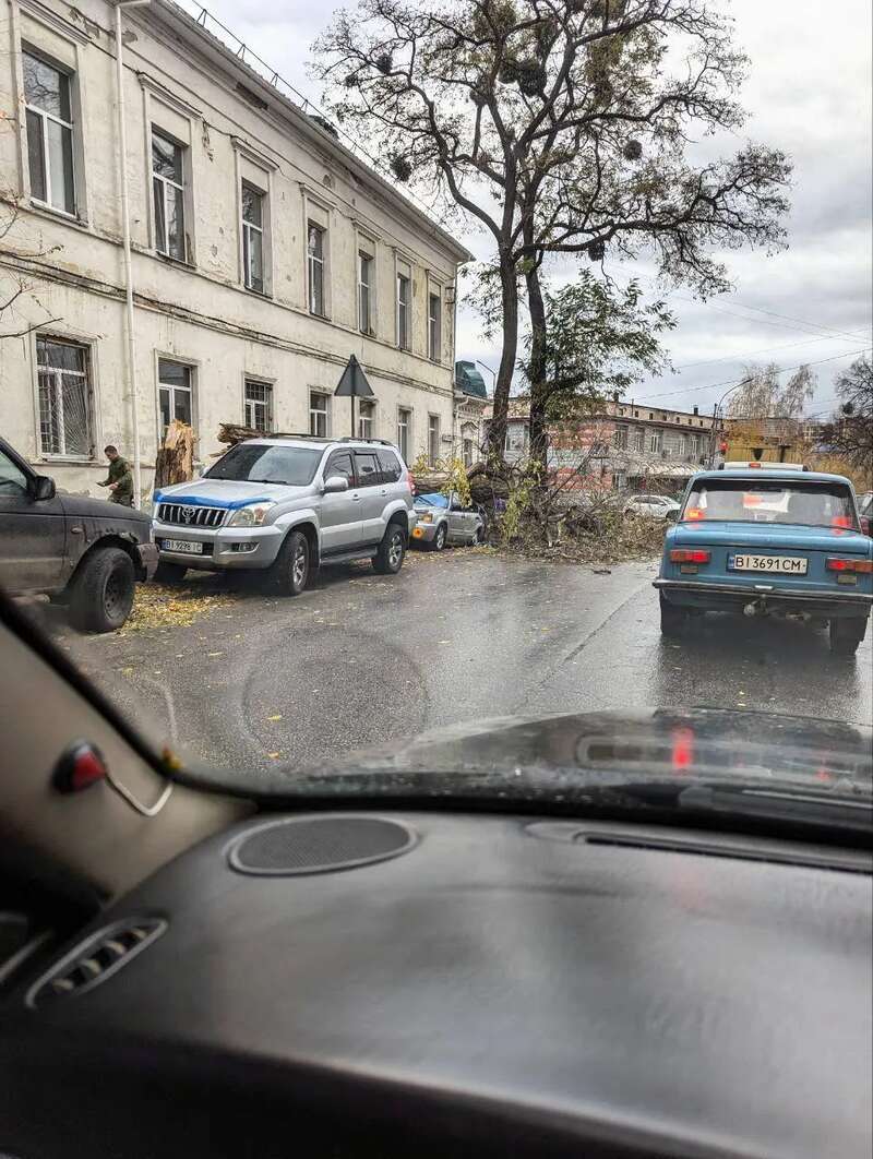 Валить дерева, пошкоджено авто: в Україні вирує сильний вітер. Фото і відео