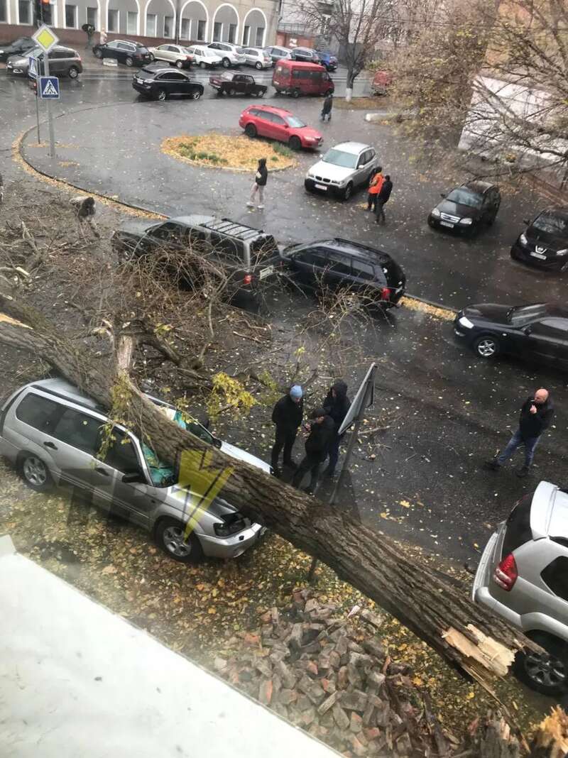 Валить дерева, пошкоджено авто: в Україні вирує сильний вітер. Фото і відео