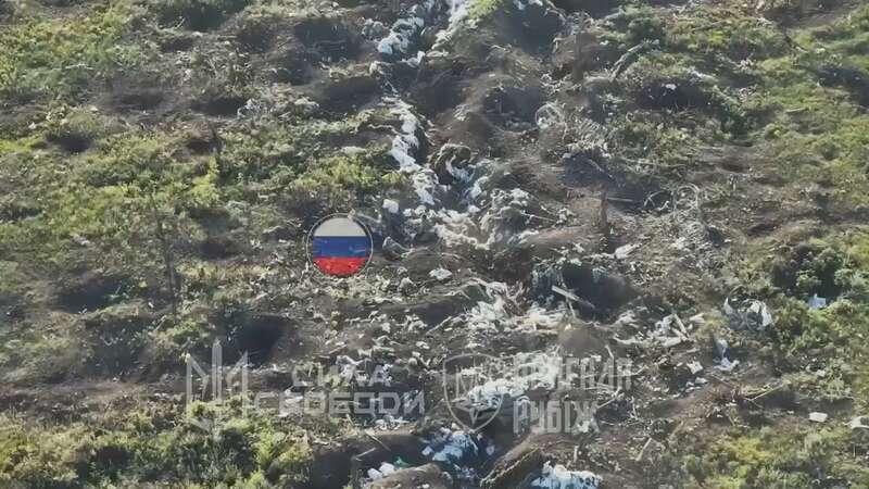 There is always a result: in the National Guard, the destruction of enemy infantry in the Lyman-Kupyansk direction was shown. Video 