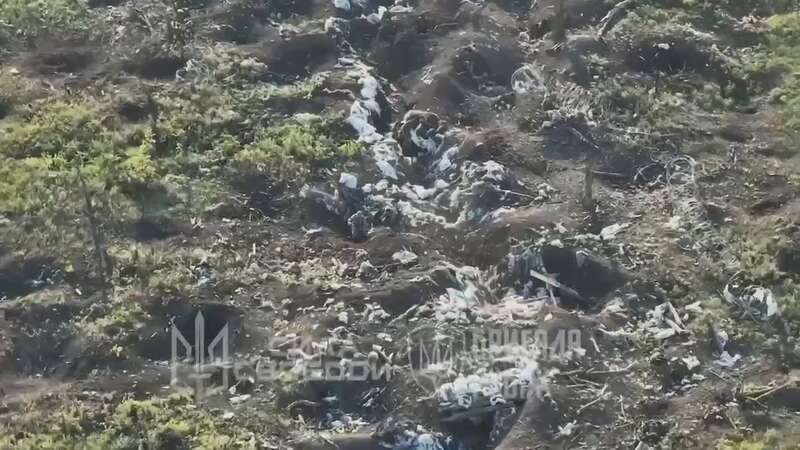   :  䳿      -’ . ³ 