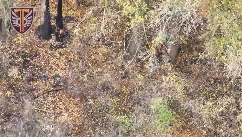 Українські захисники розгромили танковий підрозділ ворога під Куп’янськом: видовищні кадри