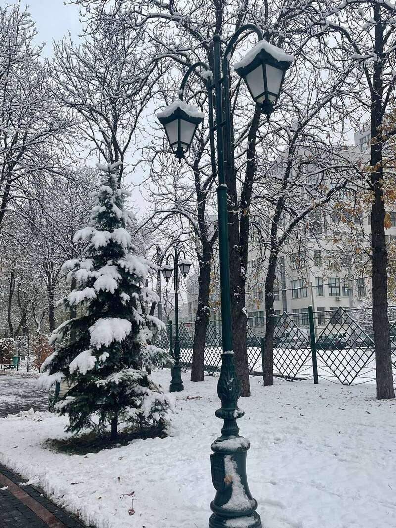 В Україну прийшла  dqxikeidqxidqrant