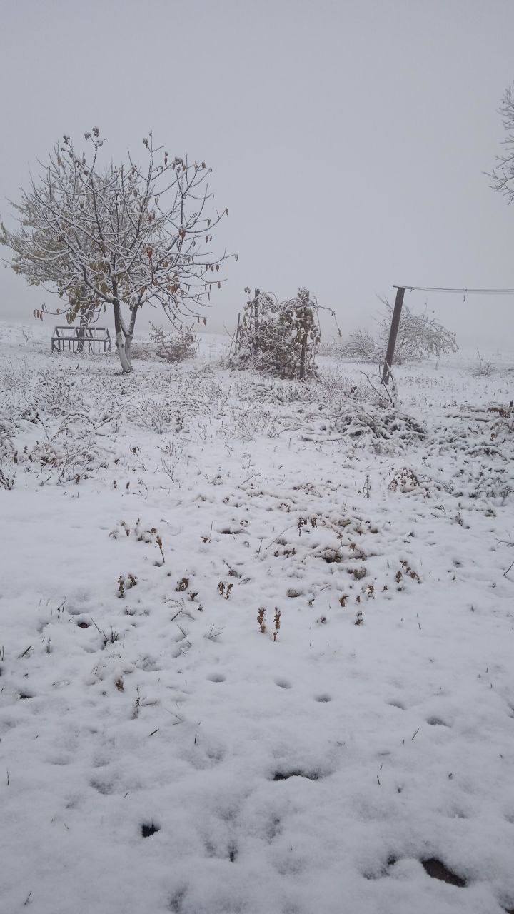 В Україну прийшла