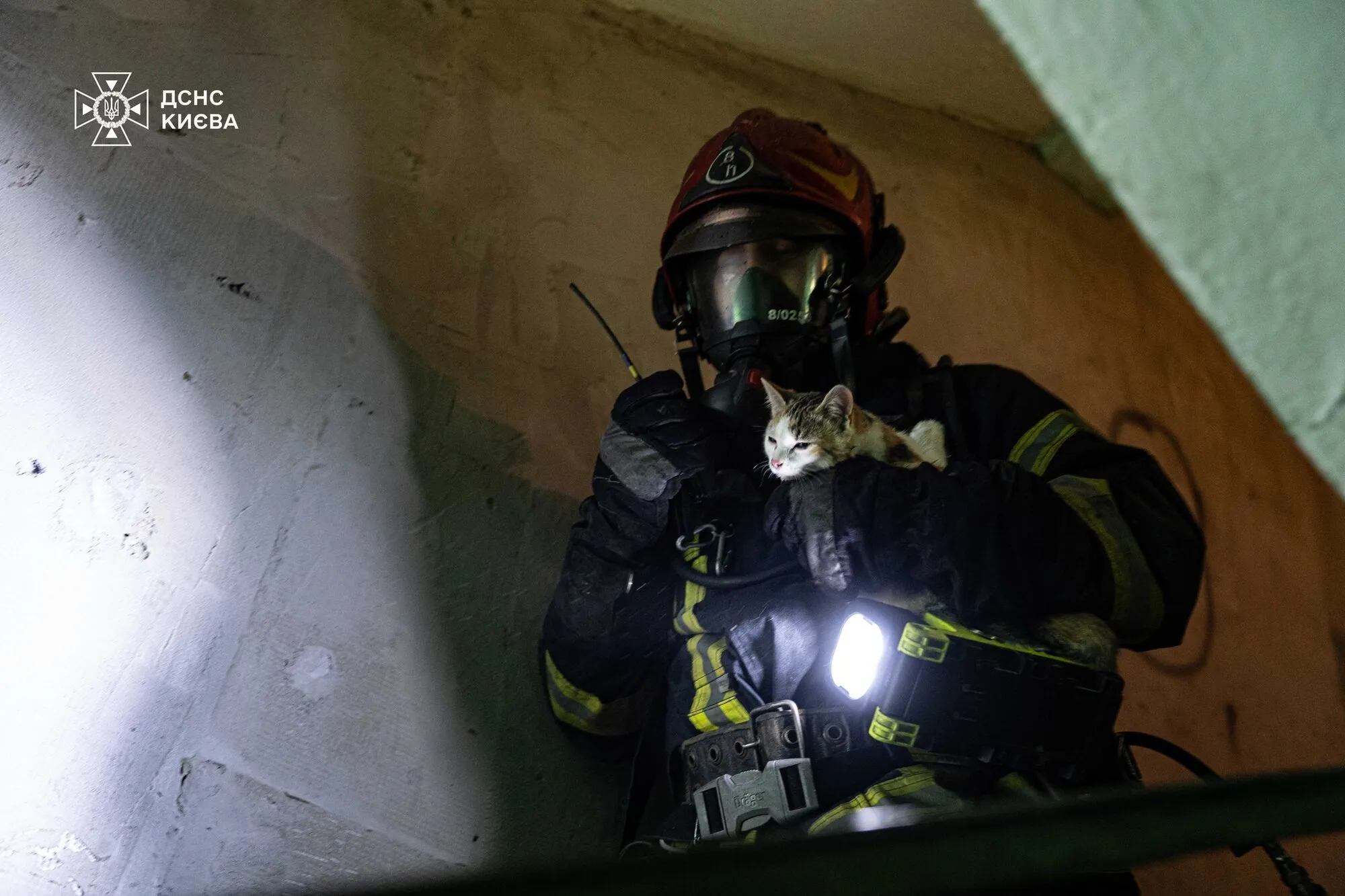 У Києві сталась пожежа у багатоповерхівці, є постраждалі. Подробиці, фото та відео