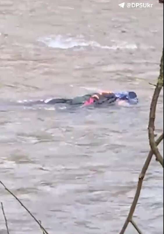         :   ,     dqxikeidqxidqrant