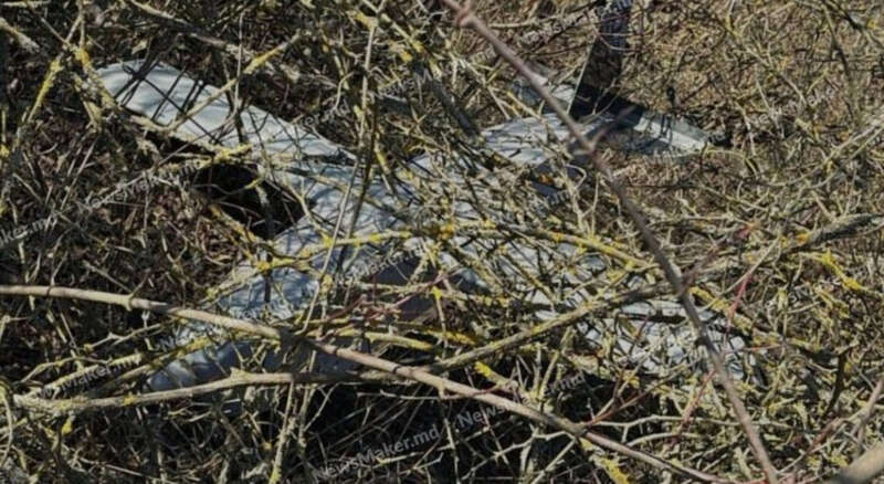 БПЛА, дрон, Молдова, фото dqxikeidqxidqqant