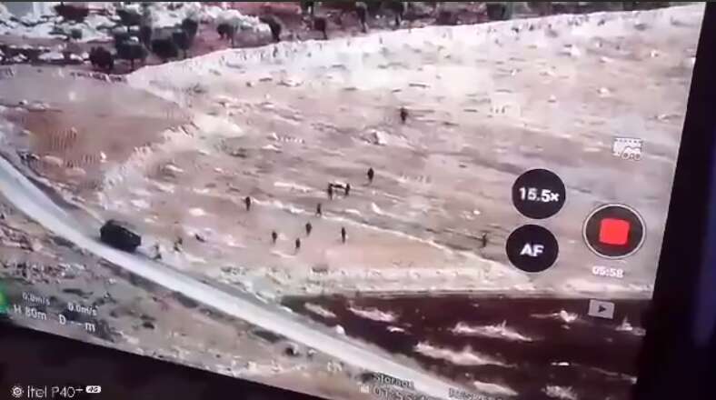         :    .    dqxikeidqxidqrant