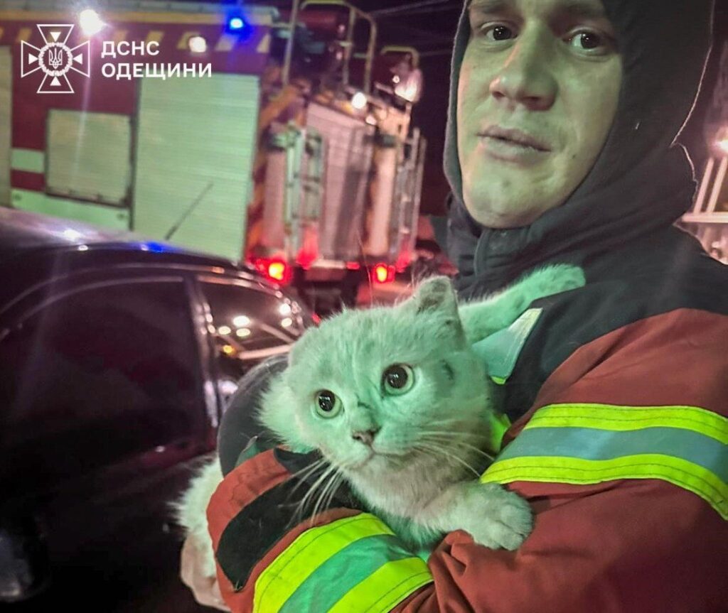 5348225287550265137 dqxikeidqxidqeant