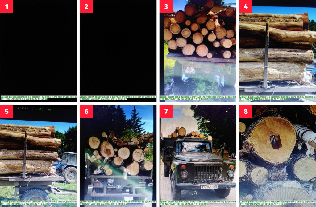        «». 1  2    , 3-8   ,    ,      ,      ’