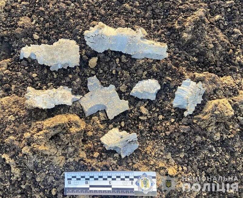 Упала на поле: на Житомирщине взрывотехники нейтрализовали боевую часть российской ракеты. Фото dqxikeidqxidqrant