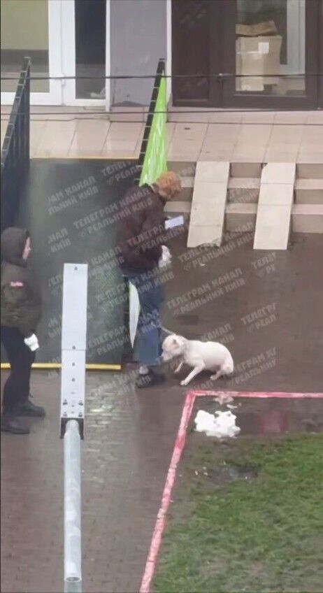            :   . ³ dqxikeidqxidqeant