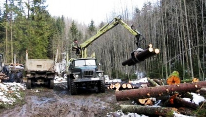 8223d450d01a555eca7616d74c5f7b6e_422x240 dqxikeidqxidqeant