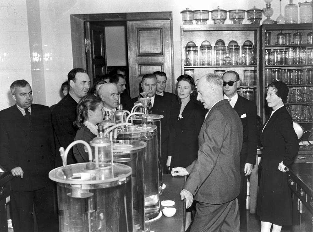  :  -   ( )     , 1955 