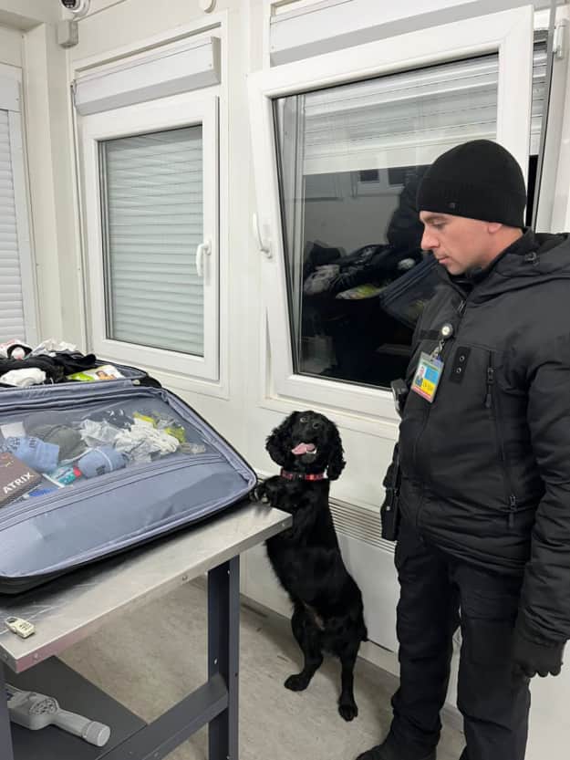 : Facebook dqxikeidqxidqrant