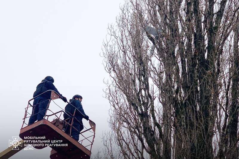 Hanging on the tree: sappers removed a Russian decoy drone in the Kyiv region. Photo dqxikeidqxiqzhant