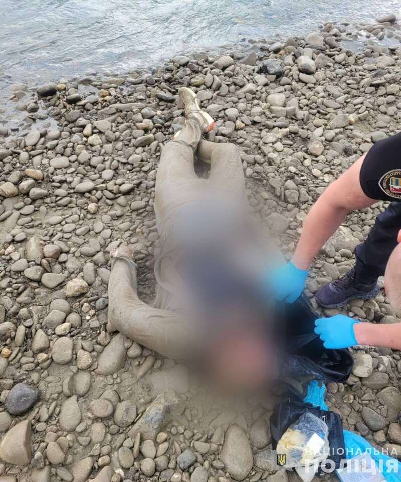 ϳ      :      dqxikeidqxixdant