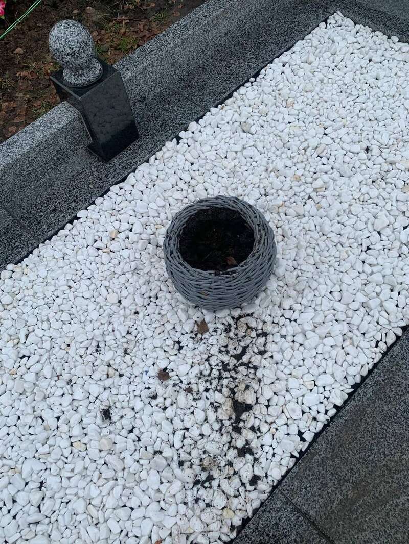 На кладбище в Рокитном неизвестные похитили елки с могил бойцов ВСУ. Фото