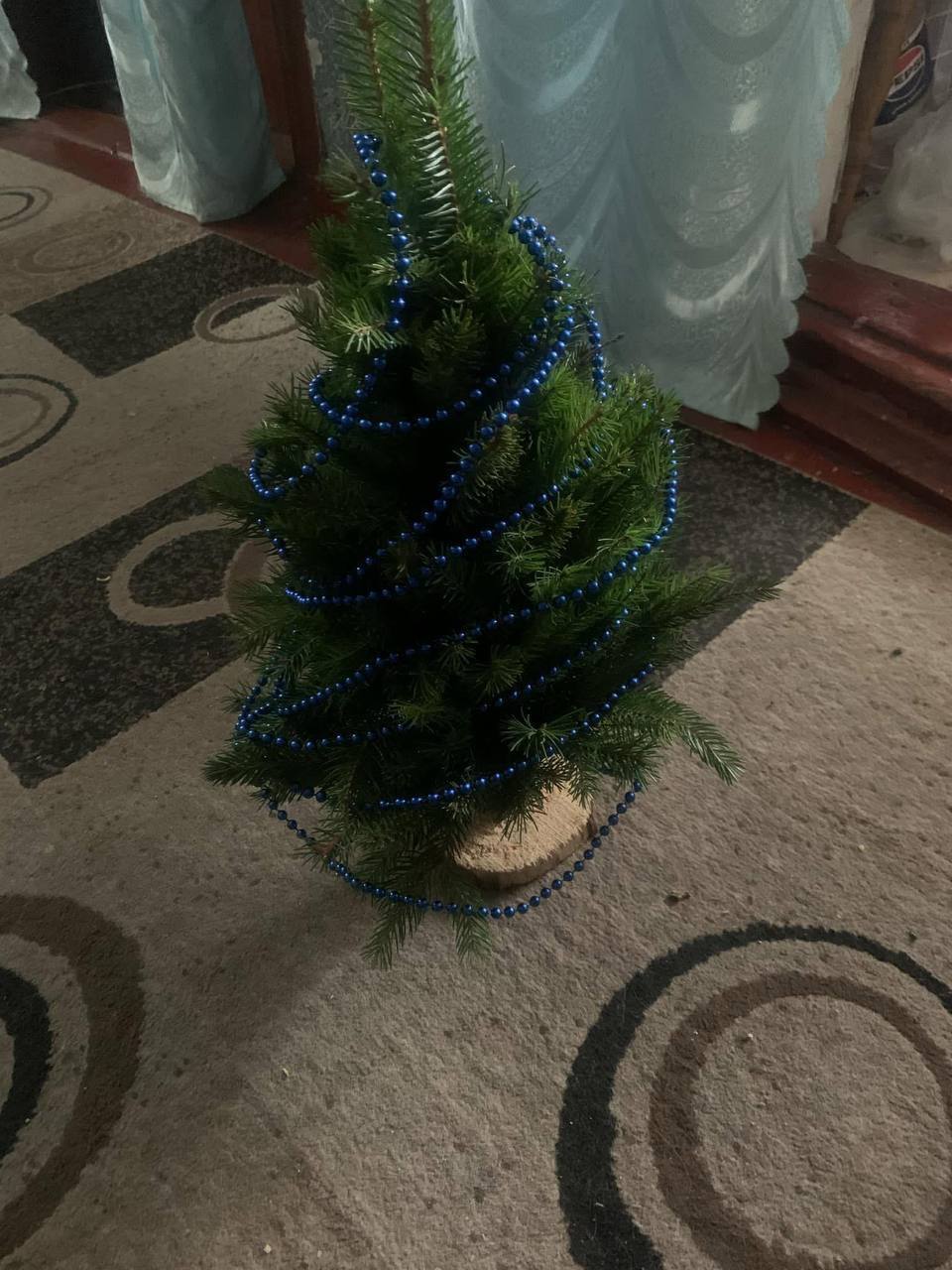 На кладбище в Рокитном неизвестные похитили елки с могил бойцов ВСУ. Фото